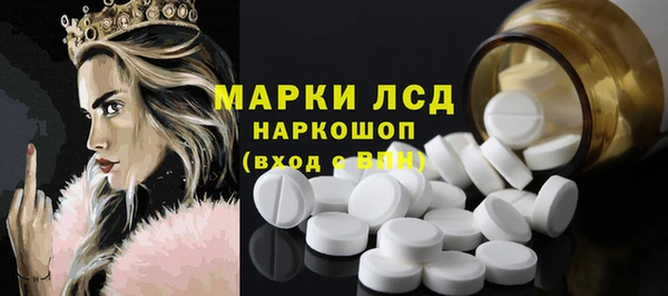 прущие грибы Армянск