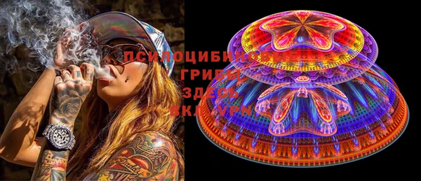 твердый Козельск