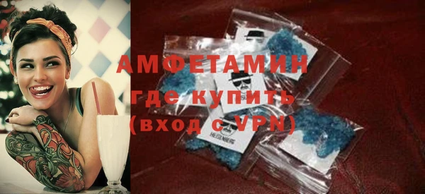 стаф Алзамай
